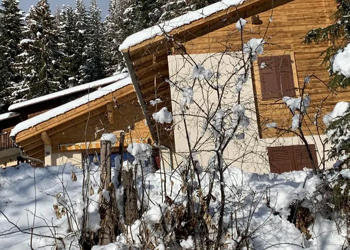 De La Foret * 奥瓦伦纳茨